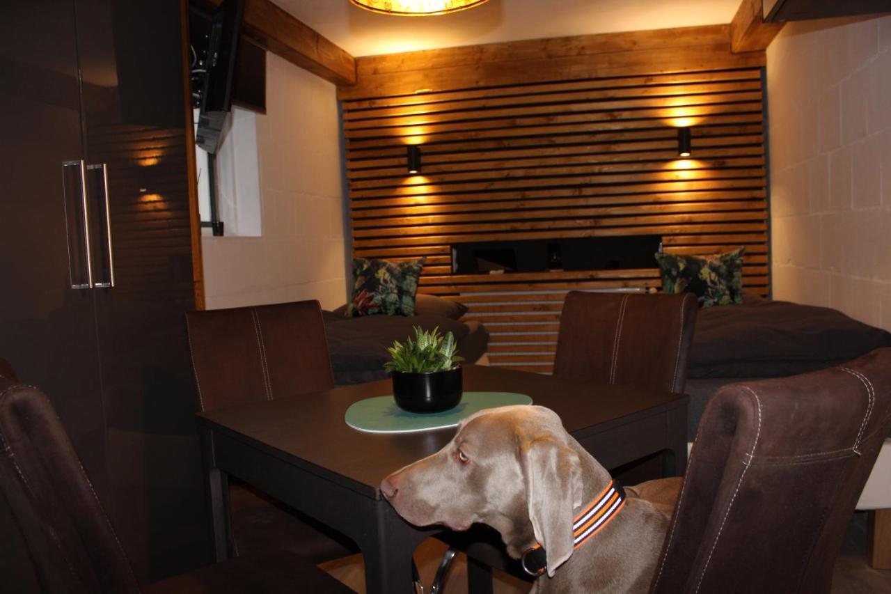 Kleine Souterrain Wohnung Naehe Hamburg Neu Wulmstorf Exterior foto